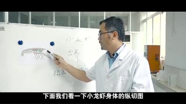 e2e02613cfd64d8ba1834814136e740e